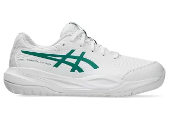 GEL-RESOLUTION X GRADE SCHOOL