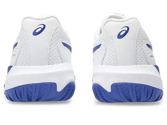 GEL-RESOLUTION X GRADE SCHOOL