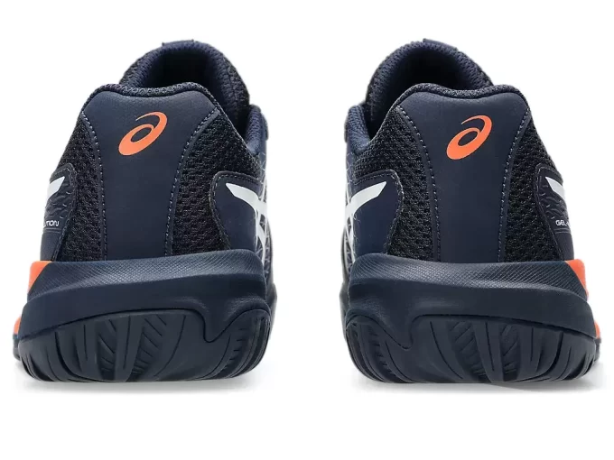 GEL-RESOLUTION X GRADE SCHOOL