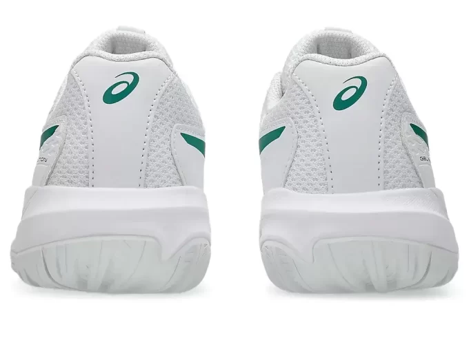 GEL-RESOLUTION X GRADE SCHOOL