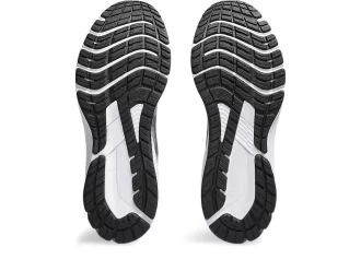 GT-1000 12 EXTRA WIDE ROAD TESTED