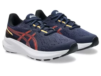 GT-1000 13 GRADE SCHOOL