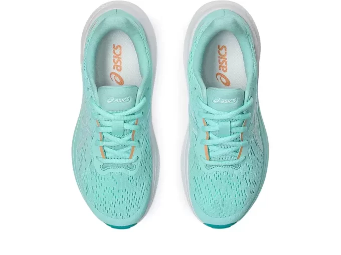 GT-1000 13 GRADE SCHOOL